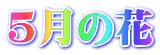 5月の花