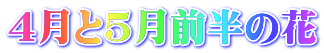 4月と5月前半の花