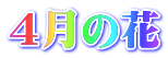 ４月の花