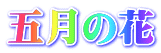 五月の花