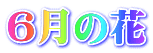 ６月の花